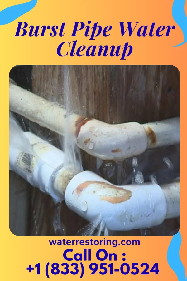 Burst Pipe Water Cleanup in New Rochelle, NY
