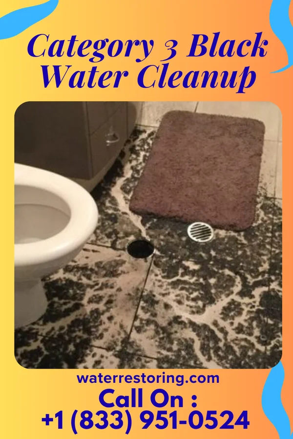 Category 3 Black Water Cleanup in New Rochelle, NY