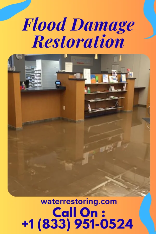 Flood Damage Restoration in New Rochelle, NY