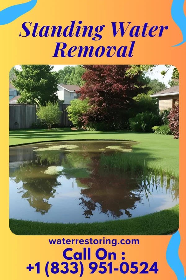 Standing Water Removal in New Rochelle, NY